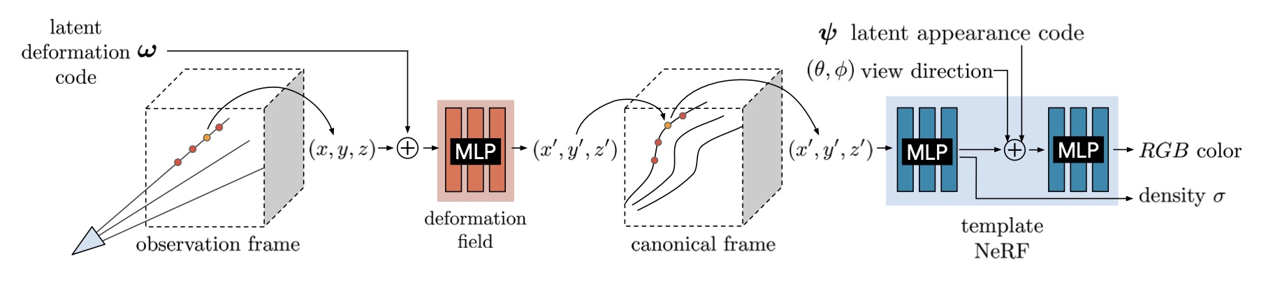 Pipeline diagram showing observation frame, deformation field MLP, and canonical NeRF.