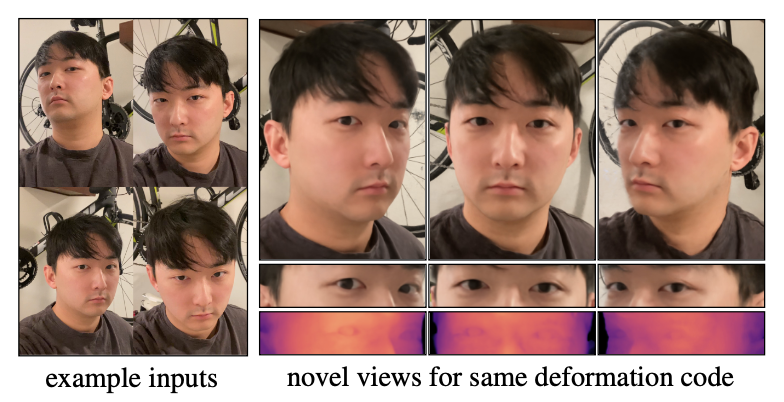 example inputs novel views for same deformation code